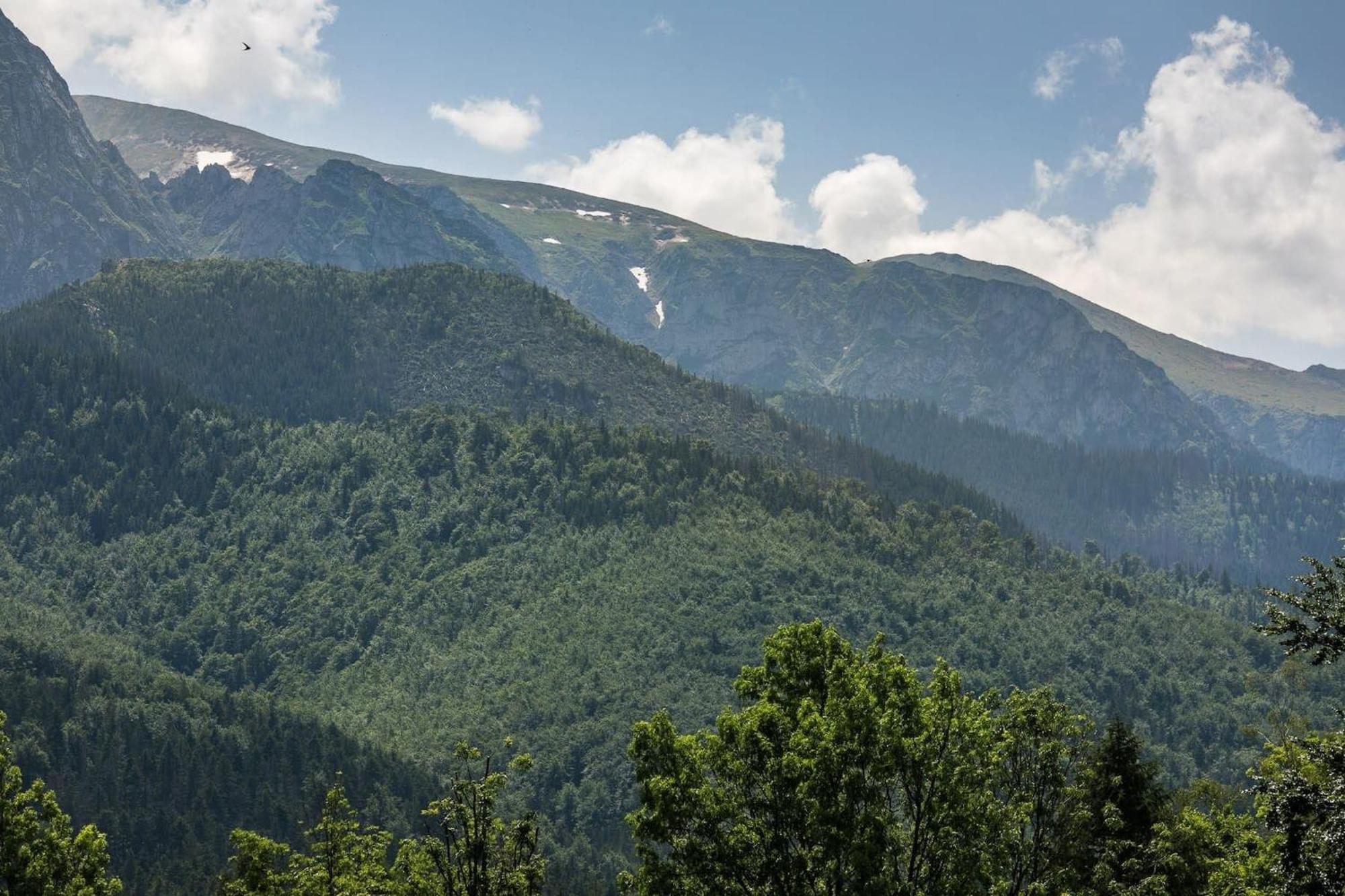 Apartment Chalubinskiego In Zakopane By Rent Like Home エクステリア 写真